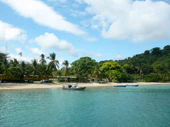 Coiba ANAM view